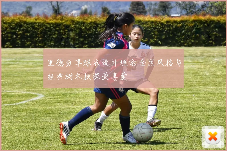 里德分享球衣设计理念全黑风格与经典树木款深受喜爱
